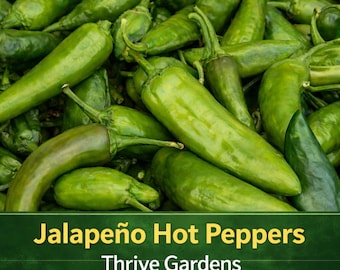 Jalapeño Hot Pepper Seeds