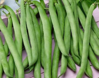 May include: A close-up shot of fresh, vibrant green beans. The beans are long, slender, and have a smooth texture. They are arranged in a slightly overlapping pattern, showcasing their natural shape and color. The image highlights the freshness and natural appeal of the produce.