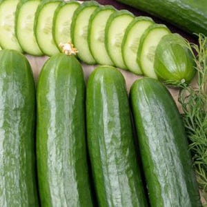 May include: Fresh green cucumbers, some whole and some sliced, arranged on a wooden surface. The sliced cucumbers reveal a pale green interior. A sprig of dill adds a touch of green. The cucumbers are ready for a salad or snack.