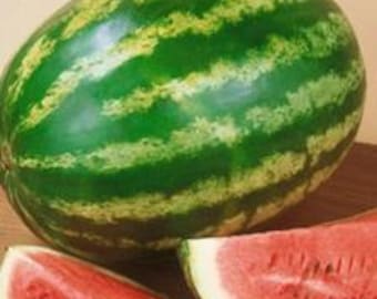 Crimson Sweet Watermelon Seeds