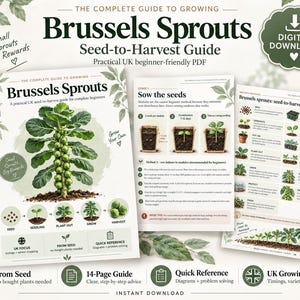 Può includere: Una guida digitale in PDF intitolata The Complete Guide to Growing Brussels Sprouts, che mostra il processo dal seme al raccolto con illustrazioni delle fasi di crescita, testo didattico, un foglio di riepilogo e icone per consigli di giardinaggio.