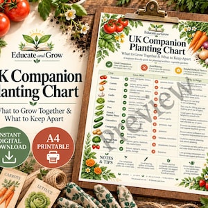 Peut inclure: Un tableau de compagnonnage végétal pour le Royaume-Uni imprimé sur papier, fixé sur un presse-papier en bois. Le document présente un tableau listant les légumes, leurs compagnons compatibles et les plantes à éviter, illustré de tomates et carottes.