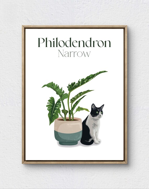 Poster - Cat & Philodendron - Etsy