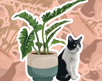 pogostemon helferi planting Pogostemon helferi AKA Dr Seuss Plant (Downoi) SALE  DustinsFishtanks