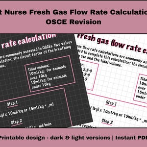 May include: A printable PDF design for vet nurses, featuring fresh gas flow rate calculations for OSCE revision. The design includes formulas for tidal volume and step-by-step instructions. The text is in black and pink.