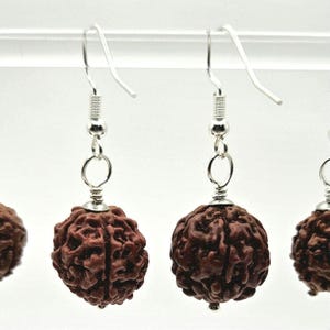 Rudraksha Earring ~ FREE Ship + Gift Box & GWPs ~ Tear Eye Of Shiva Dried Stone From Nature Seed For Buddhists Hindi Hindu Shaiva Rudraksh