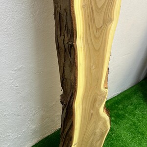 May include: A live edge wood slab with a natural bark edge. The slab has a light brown color with a yellow-toned interior. The wood grain is visible. The slab is approximately 30 inches long.