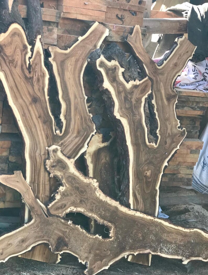 May include: A collection of irregularly shaped, raw-edged wood slabs. The slabs have a dark brown center with lighter brown and cream-colored edges, showcasing the natural grain and knots of the wood. The wood appears to be freshly cut and ready for use.