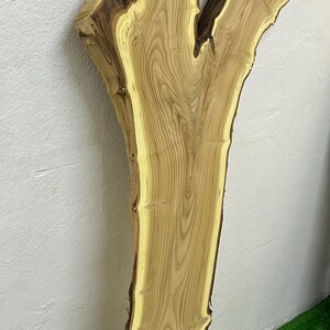 May include: A natural wood slab with a light brown and yellow grain pattern. The live edge slab has a rough, dark brown bark and a smooth, polished surface. The wood is approximately 40 inches long.
