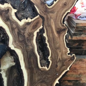 May include: Close-up of a raw, unfinished wood slab with a unique, organic shape. The wood features a dark brown heartwood with lighter, cream-colored sapwood and a dark, textured bark edge. The grain pattern is intricate and swirling.