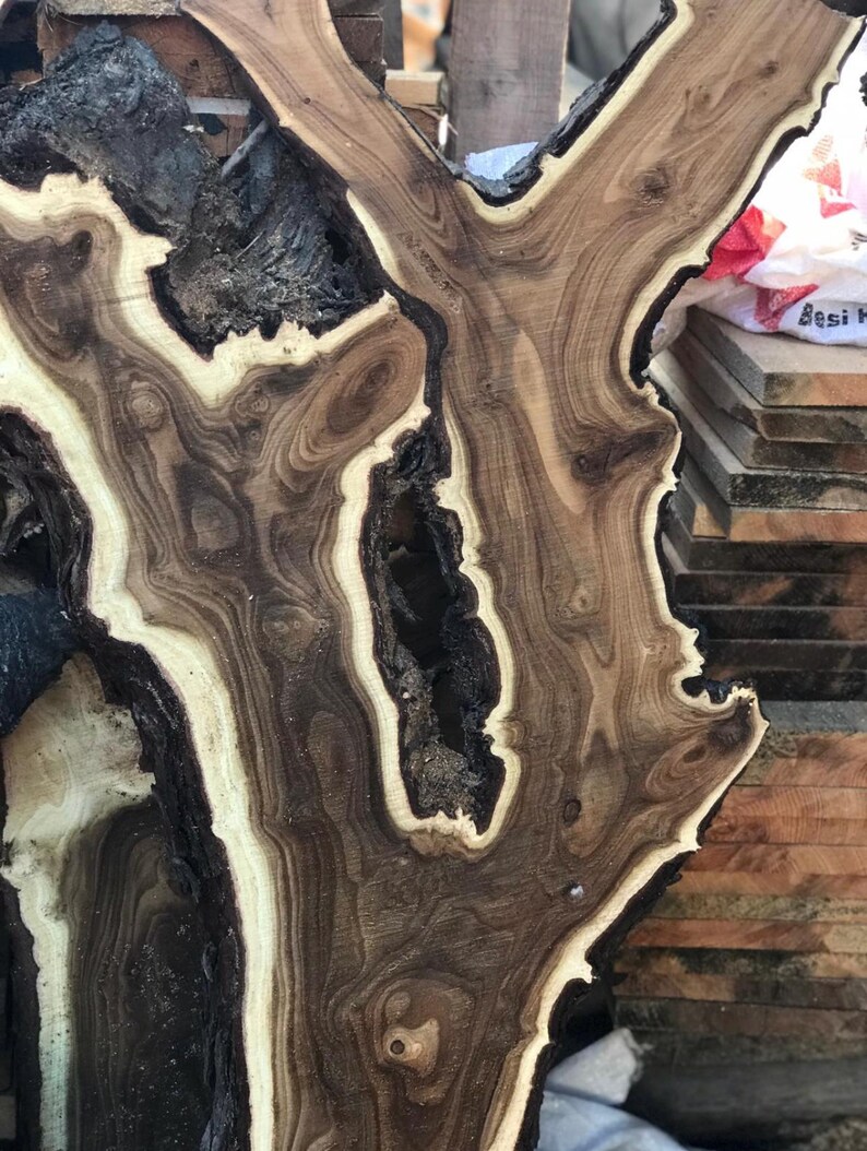 May include: Close-up of a raw, unfinished wood slab with a unique, organic shape. The wood features a dark brown heartwood with lighter, cream-colored sapwood and a dark, textured bark edge. The grain pattern is intricate and swirling.