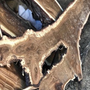 May include: Close-up of several pieces of raw, unfinished wood. The wood has a natural, organic look with varying shades of brown, tan, and black. The grain patterns are visible, and some pieces have a rough, bark-like edge. The wood appears to be freshly cut.