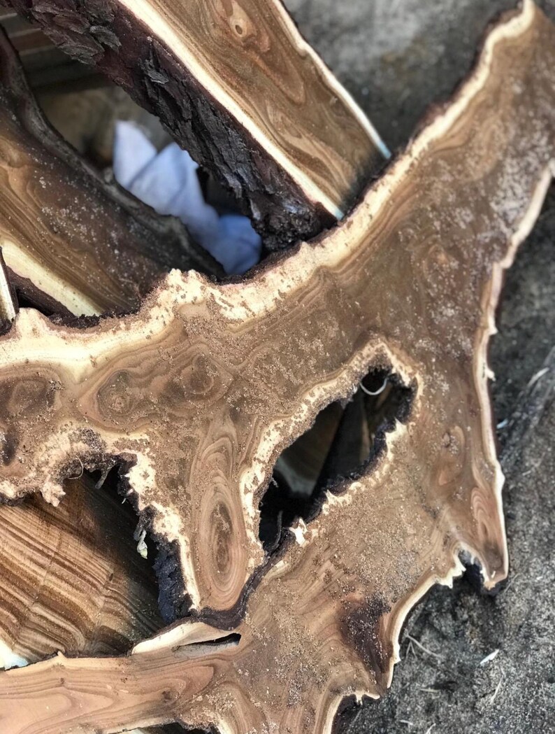 May include: Close-up of several pieces of raw, unfinished wood. The wood has a natural, organic look with varying shades of brown, tan, and black. The grain patterns are visible, and some pieces have a rough, bark-like edge. The wood appears to be freshly cut.