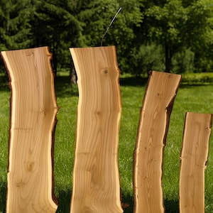 Oleaster Tree Burl | Live Edge River Wood Slab Set | Ready for Epoxy Resin Casting | Charcuterie Board | Side Coffee Table | Kiln Dried