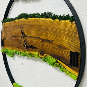 May include: A round wall clock with a natural wood face and black metal frame. The clock face features a section of a tree trunk with visible grain, Roman numerals, and black clock hands. Green moss accents the wood.