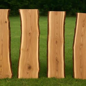 Juego de losas de madera de río con borde vivo de olivo nudoso / Listo para fundición con resina epoxi / Tabla de charcutería / Mesa auxiliar de centro / Secado al horno