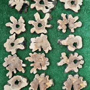 May include: A collection of fifteen irregularly shaped wooden slices, each with a unique organic form and a central hole. The wood features a light brown color with darker brown and black edges, showcasing the natural grain and texture of the material.