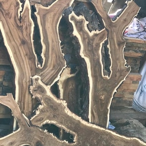 May include: Close-up of several irregularly shaped, raw wood slabs. The wood features a dark brown heartwood with lighter, cream-colored sapwood edges. The grain patterns are visible, creating a natural, organic aesthetic.