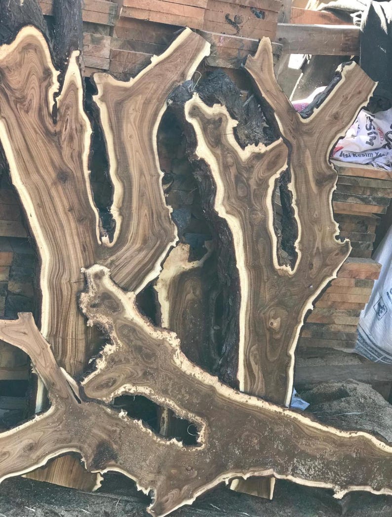 May include: Close-up of several irregularly shaped, raw wood slabs. The wood features a dark brown heartwood with lighter, cream-colored sapwood edges. The grain patterns are visible, creating a natural, organic aesthetic.