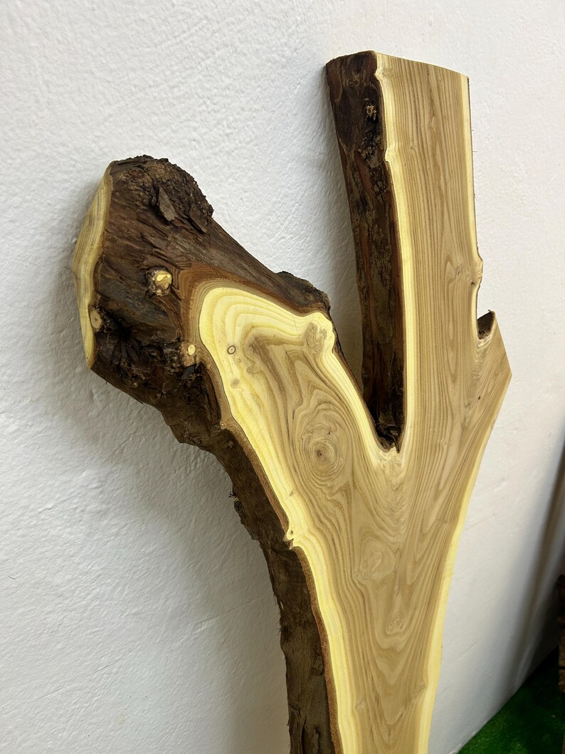 May include: A natural wood slab with a light brown and tan color scheme. The wood grain is visible, and the edges have a rough, bark-like texture. The slab has a unique shape, with a branch-like extension.