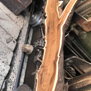 May include: A raw, unfinished piece of wood with a natural edge, showcasing a warm brown color with lighter streaks. The wood has a unique shape, possibly for woodworking or crafting projects. The bark edge is dark brown and rough.