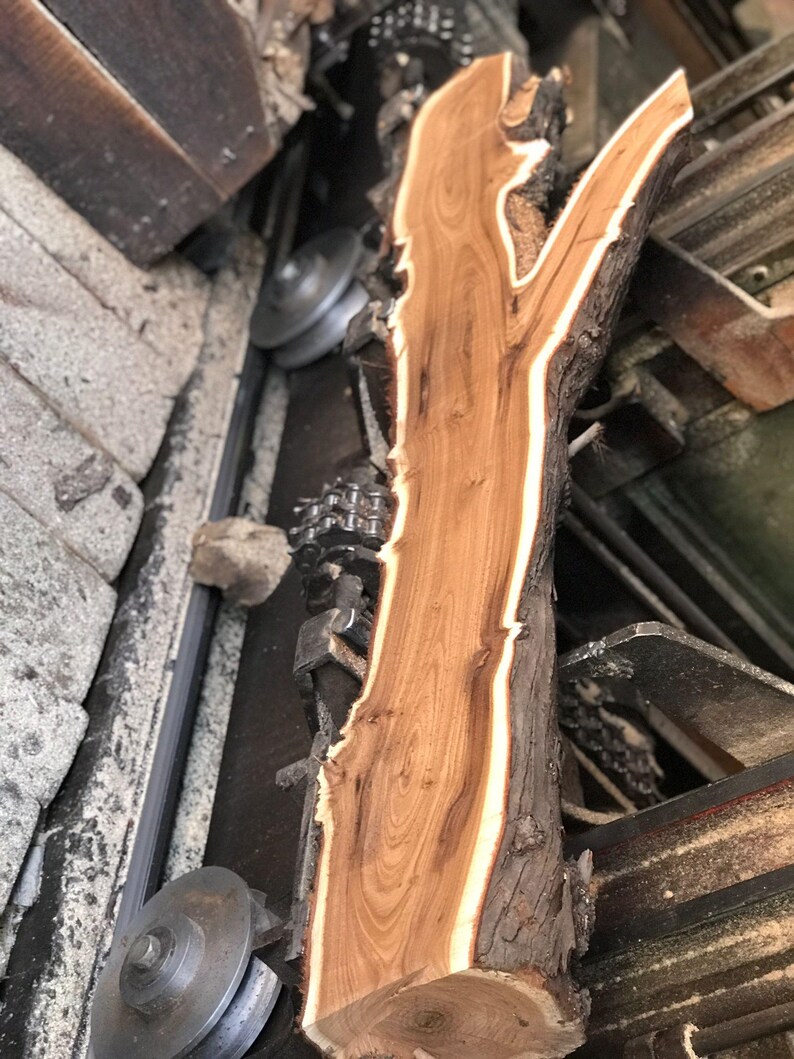 May include: A raw, unfinished piece of wood with a natural edge, showcasing a warm brown color with lighter streaks. The wood has a unique shape, possibly for woodworking or crafting projects. The bark edge is dark brown and rough.