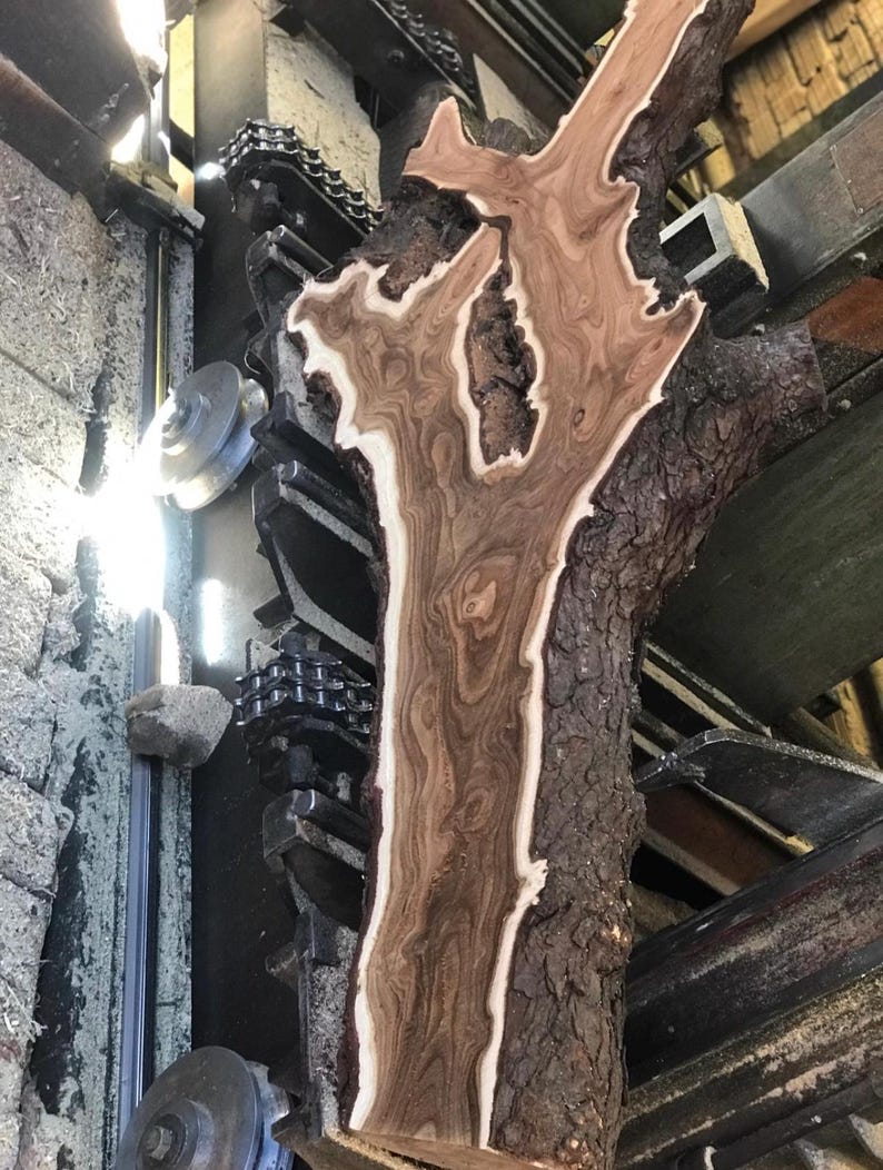 May include: A large, irregularly shaped piece of wood with a light brown and dark brown grain pattern. The wood has a white border and a rough, dark brown bark. The wood is being cut by a machine with a chain and gears.
