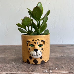 Liten klassisk leopardplanter | Big Cat Jungle Home Decor