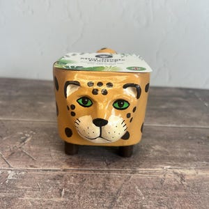 Mini-djungelplanteringssats | Handgjord leopardplanter med kattgräs