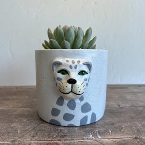 May include: A light gray ceramic planter with a sculpted leopard face and gray spots. The planter holds a green succulent plant. The leopard face has green eyes and black details. The planter is on a wooden surface.