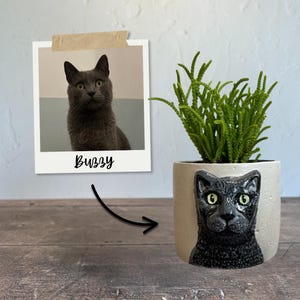 Op de afbeelding: Een off-white keramische plantenpot met een zwart kattengezicht, met een groene plant. Een foto van een grijze kat met de naam "Buzzy" is met tape aan de muur bevestigd.