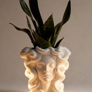 May include: A white matte planter shaped like a human head with closed eyes, featuring sculpted snakes intertwined as hair. A green snake plant with pointed, variegated leaves grows from the top of the head, extending upwards from the planter.