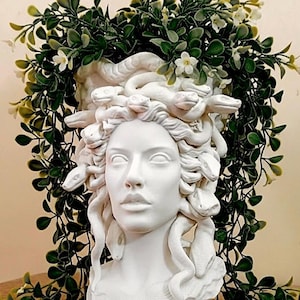 Medusa kruka / trädgårdskruka / lyxig elegant inomhusväxtdekoration