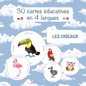 Puede incluir: Tarjetas didácticas con ilustraciones de varias aves, como un tucán, un loro, un flamenco, un dodo y un búho. Las tarjetas están etiquetadas en varios idiomas, con el texto "30 tarjetas educativas en 4 idiomas" en la parte superior.