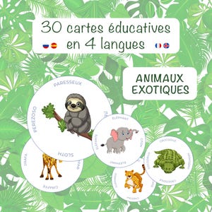 Peut inclure: Jeu de 30 cartes éducatives illustrées avec des animaux exotiques : paresseux, éléphant, girafe, guépard et crocodile. Les cartes sont en quatre langues, avec le texte "30 cartes éducatives en 4 langues".