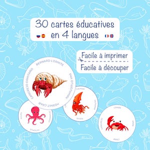 30 Ocean Animal Flashcards for Kids | Sea Animals | Preschool Learning | Printable PDF