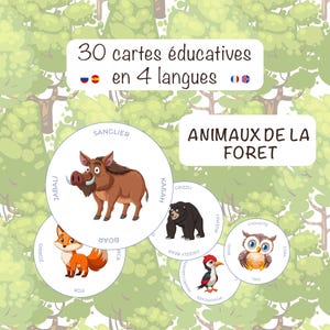 Może przedstawiać: Karty edukacyjne z leśnymi zwierzętami, w tym dzikiem, lisem, niedźwiedziem, sową i dzięciołem. Każda karta zawiera nazwę zwierzęcia w wielu językach. Obraz zawiera również tekst "30 kart edukacyjnych w 4 językach".
