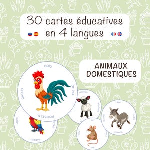 May include: A set of educational flashcards depicting farm animals, including a rooster, parrot, sheep, rat, and donkey. The cards are circular and feature the words "Rooster", "Parrot", "Donkey", and "Rat". The text "30 educational cards in 4 languages" is also visible on the cards.