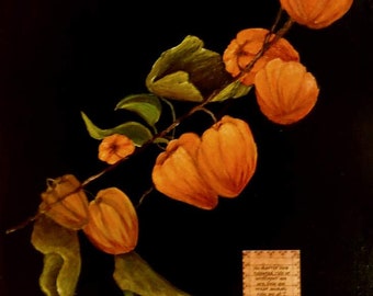 Japanese Lanterns