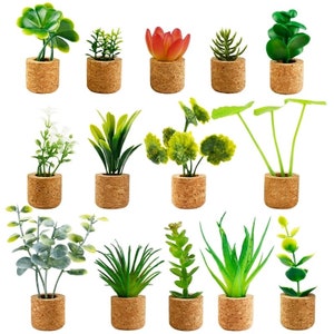 Plant Succulent Magnets Refrigerator, white board, vision board, calendar  Home Decor Home Office Mini Plants Photo Magnets - QTY 5 PCS