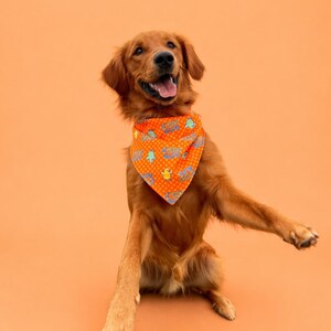 May include: A Golden Retriever dog wearing an orange bandana with a repeating pattern of blue and green cartoon images. The dog is sitting with its mouth open and tongue out, and one paw raised. The background is a solid orange color.
