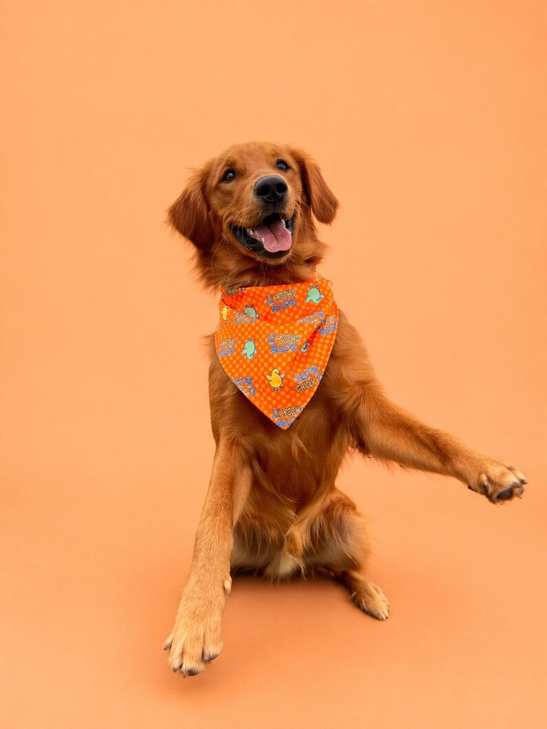 May include: A Golden Retriever dog wearing an orange bandana with a repeating pattern of blue and green cartoon images. The dog is sitting with its mouth open and tongue out, and one paw raised. The background is a solid orange color.