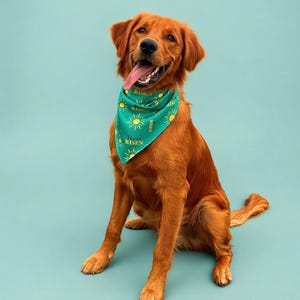 May include: A golden retriever dog wearing a teal bandana with yellow suns and the text "He is RISEN". The dog is sitting with its tongue out against a teal background. The dog's fur is a rich, reddish-brown color.