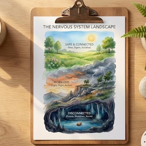 Peut inclure: Un presse-papiers avec un diagramme imprimé intitulé "The Nervous System Landscape" illustrant les états d'être : Sûr et Connecté, Mobilisé et Déconnecté. Le texte "Polyvagal Mapping Kit" est en haut. Une tasse de café, une plante et une pierre sont également visibles.