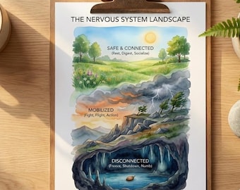 May include: A clipboard with a printed visual guide titled "Polyvagal Mapping Kit" and "A Visual Guide to Nervous System Regulation." The guide depicts the nervous system landscape with sections labeled "Safe & Connected," "Mobilized," and "Disconnected." A cup of coffee, a plant, and a stone are also visible.