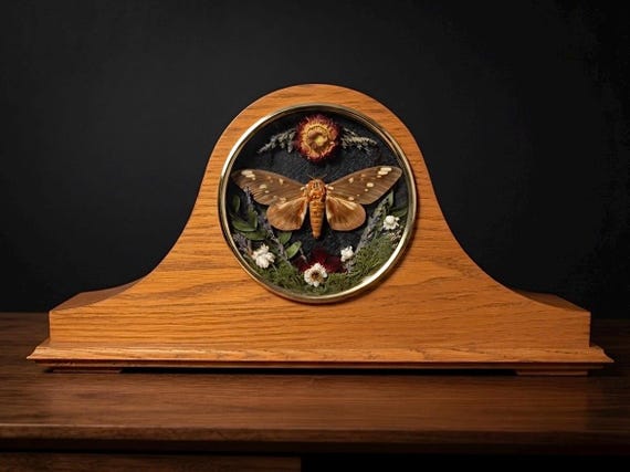 Handmade Moth Taxidermy Display in Wooden Mantel Clock Frame | Real Moth Specimen Art, Dried Flowers | Oddities & Curios