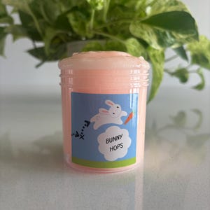 May include: A clear plastic jar filled with light pink slime. The jar has a label with a cartoon bunny jumping towards a carrot, with the words "BUNNY HOPS" below. A green and white plant is in the background.