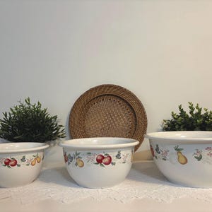 May include: Three white ceramic bowls with a fruit design, including apples, pears, and grapes. A woven plate and greenery are behind the bowls. The bowls are of varying sizes, ideal for serving.