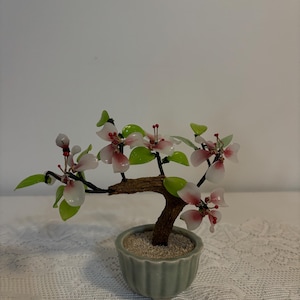 May include: A miniature bonsai tree with delicate pink and white flowers and green leaves. The tree is in a small, light green ceramic pot filled with sand. The branches are brown, and the flowers have red accents.