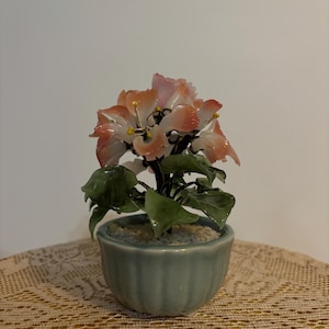 Peut inclure: Une petite plante en pot décorative avec des fleurs roses et oranges et des feuilles vertes. La plante est dans un pot en céramique bleu clair. Le pot est sur une table avec une nappe en dentelle jaune.